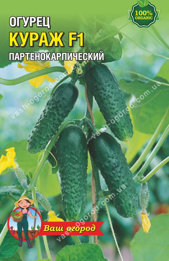 Насіння Огірок Кураж F1 (малий)