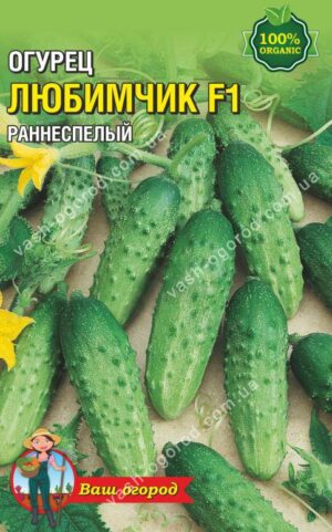 Насіння Огірок Улюбленець F1 (35-40 шт. семян)