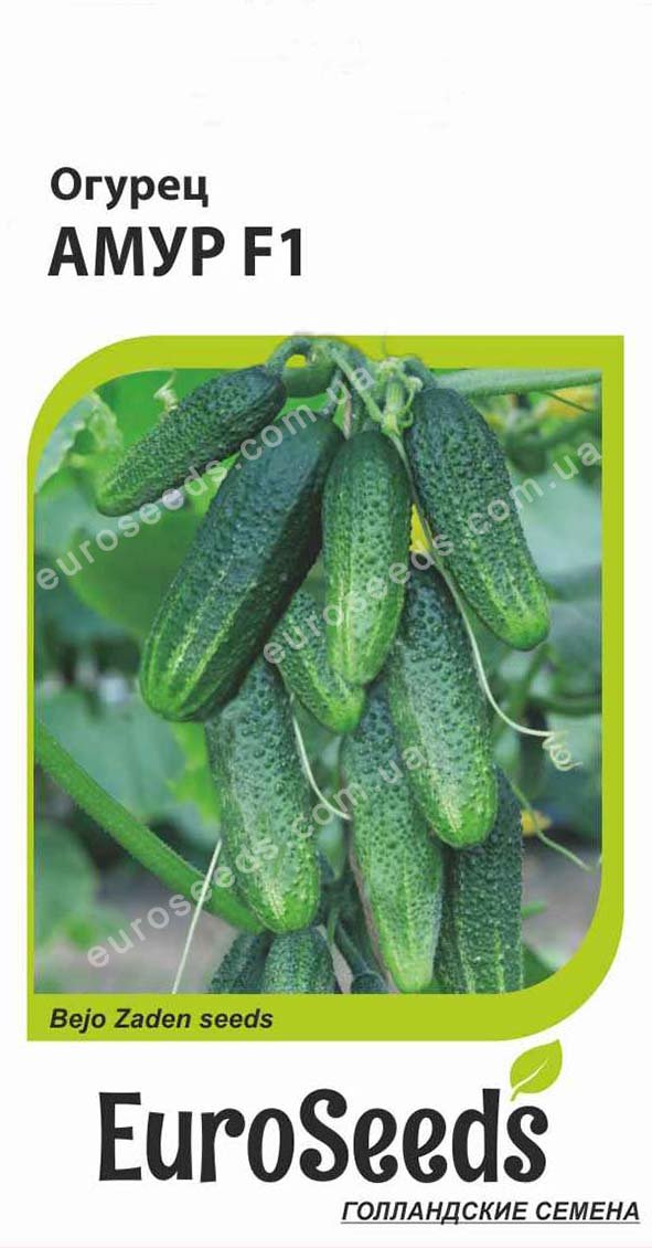 Насіння Огірок Амур F1 (голландія) EuroSeeds - 10 нас.