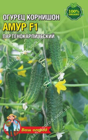 Насіння Огірок Амур F1 (малий)