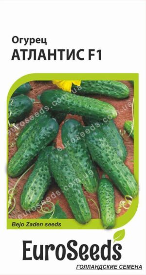 Насіння Огірок Атлантіс F1 (голландія) EuroSeeds - 10 нас.