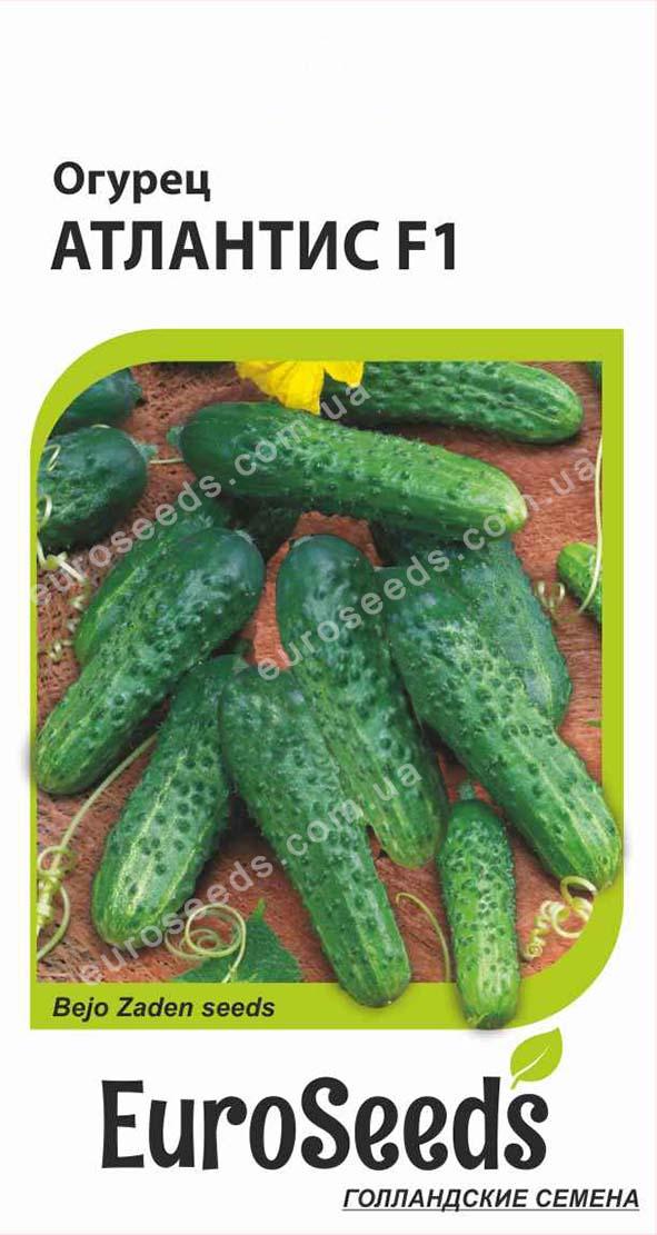 Насіння Огірок Атлантіс F1 (голландія) EuroSeeds - 10 нас.