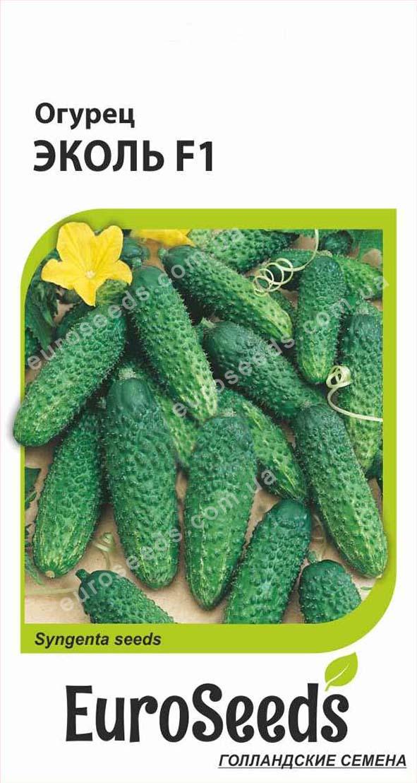 Насіння Огірок Еколь F1 (голландія) EuroSeeds - 10 нас.