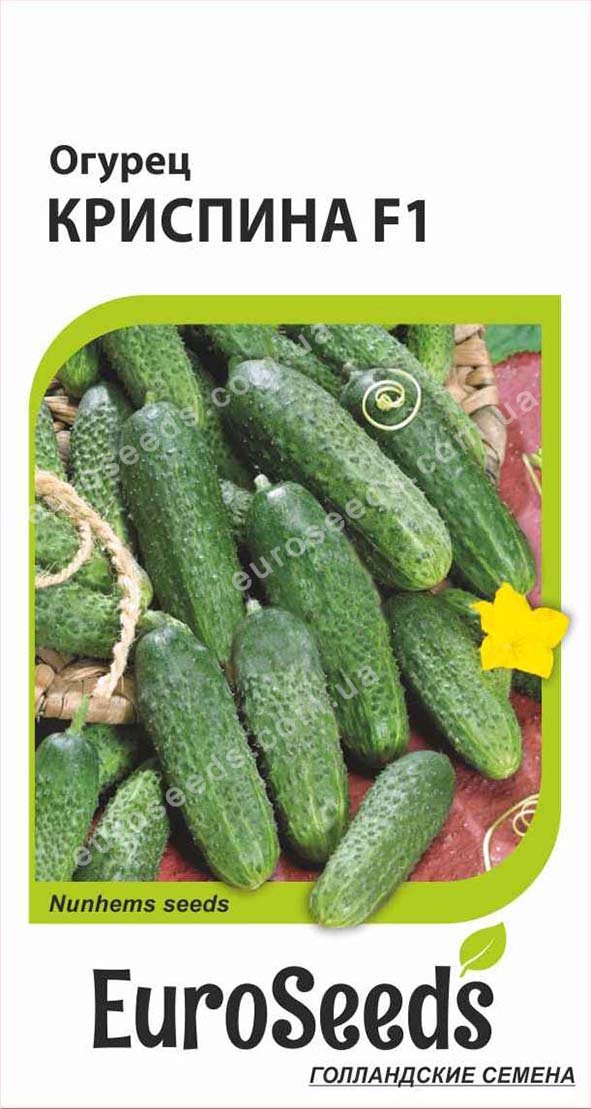 Огірок Кріспіна F1 (голландія) EuroSeeds - 10 нас.