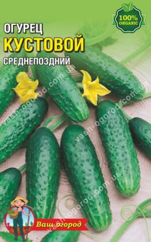 Насіння Огірок Кущовий (малий)