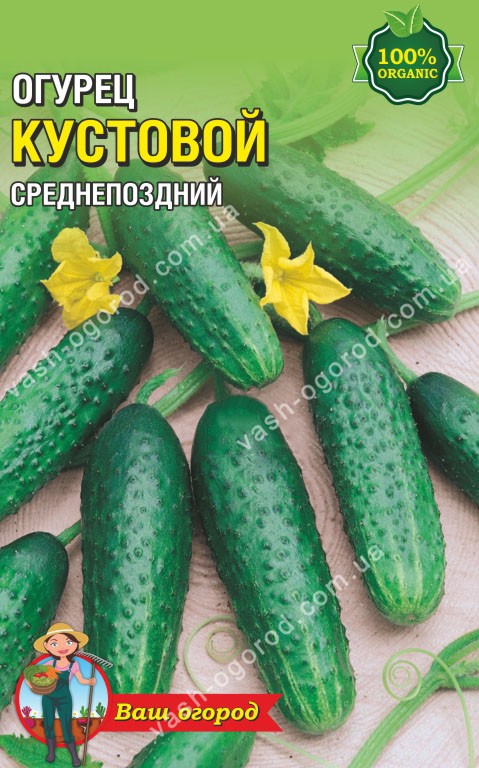 Насіння Огірок Кущовий (малий)