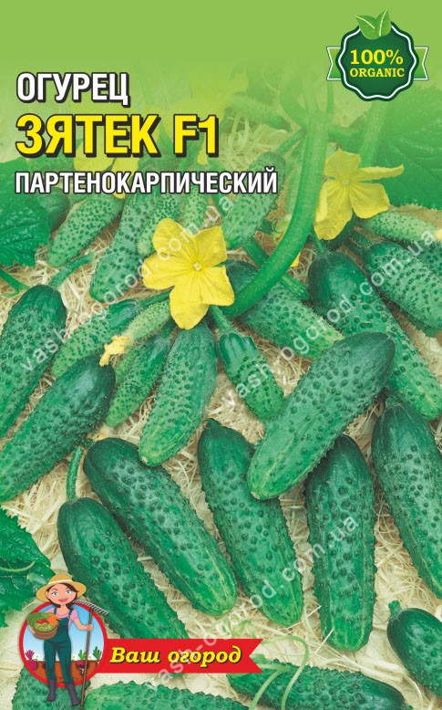Насіння Огірок Зятьок F1 (малий)
