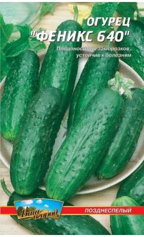 Насіння Огірок Фенікс 640 (малий)