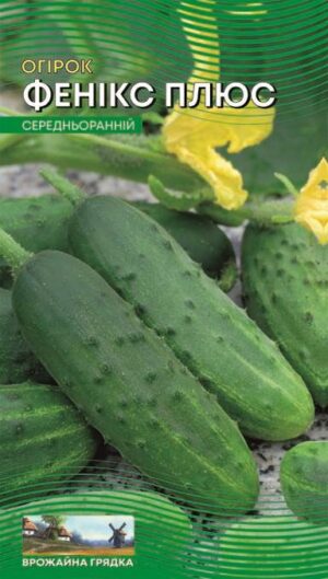 Насіння Огірок Фенікс плюс (1 г.)