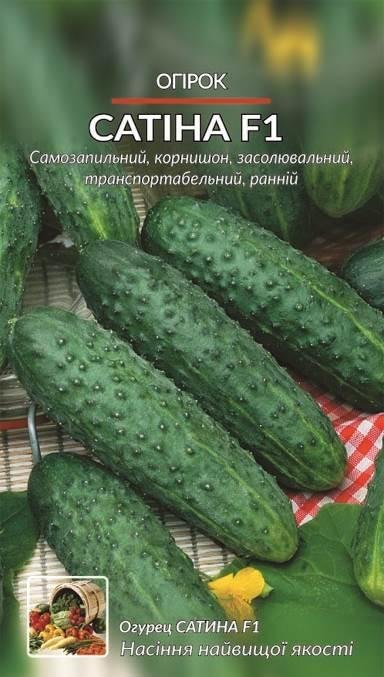 Огірок Сатіна F1 - 0,5г. Розпродаж