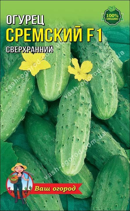 Насіння Огірок Сремський F1 (1 г.)