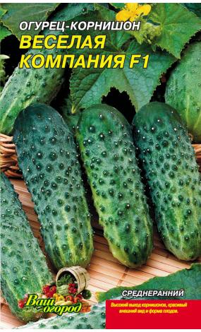 Насіння Огірок Весела компанія F1 (малий)