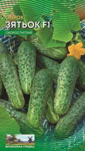 Насіння Огірок Зятьок F1 (1 г.)