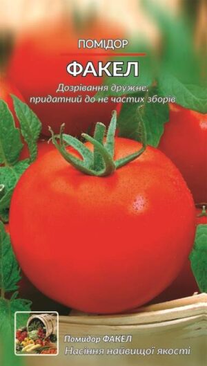 Насіння Помідор Факел (1 г.)