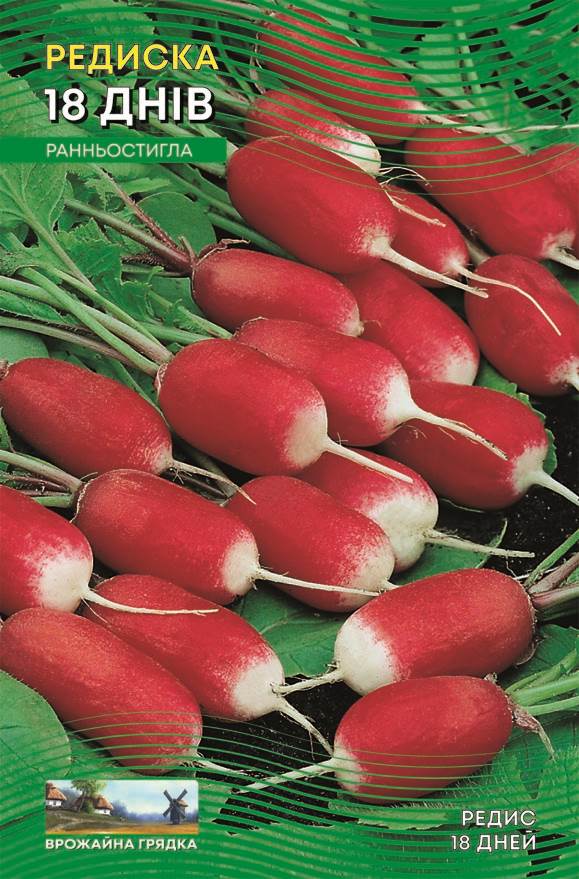 Насіння Редис 18 днів (5 г.)