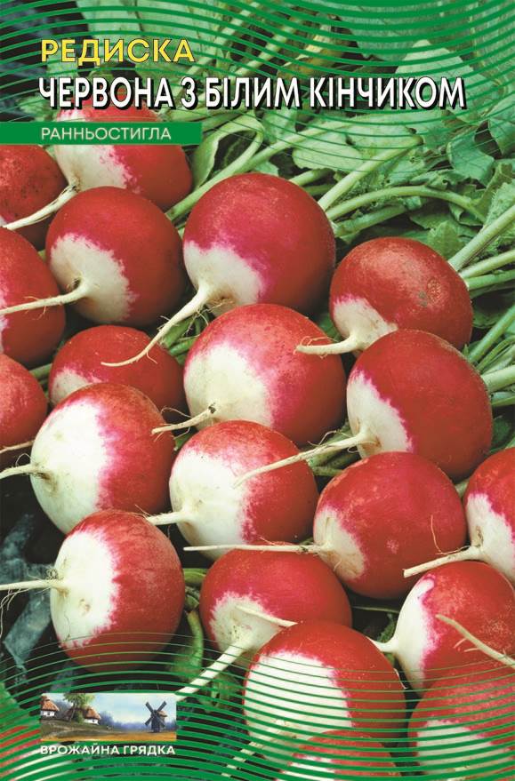 Насіння Редис Червона з білим кінчиком (5 г.)