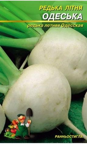 Насіння Редька літня Одеська (малий)