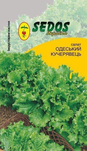 Насіння Салат Одеський кучерявець (інкр.) Sedos