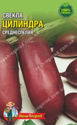 Насіння Буряк Циліндра (малий)