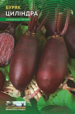 Насіння Буряк Циліндра (15 г.)