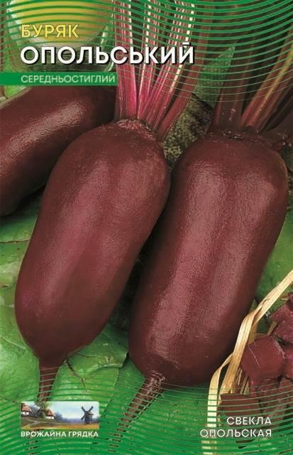Буряк Опольський - 2г. Розпродаж