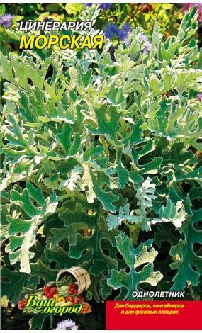Насіння Цинерарія (малий)