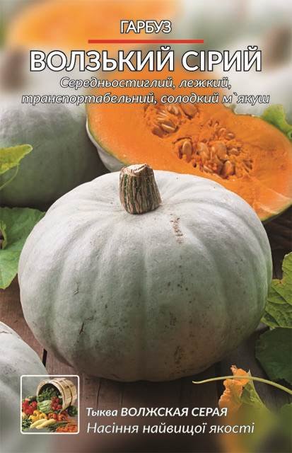 Насіння Гарбуз Волзький сірий (5 г.)