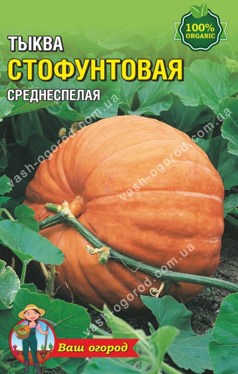 Насіння Гарбуз Стофунтовий (20-30 шт. семян)