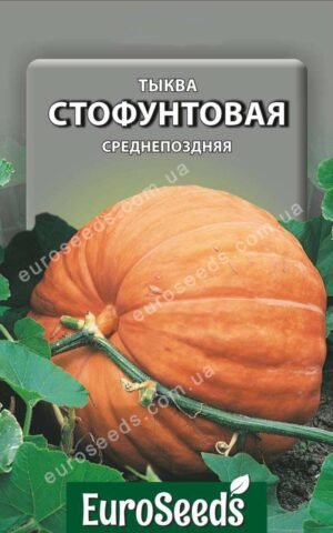 Насіння Гарбуз Стофунтовий (EuroSeeds) - 20 г.