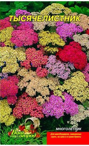 Насіння Деревій декоративний (малий)