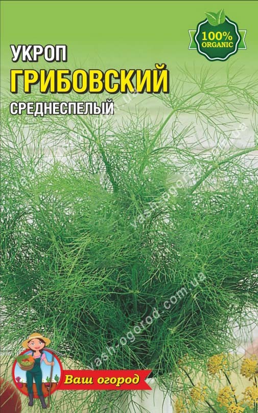 Насіння Кріп Грибовський (2500-3000 шт. семян)