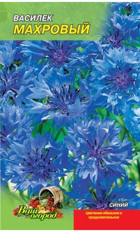 Насіння Волошка блакитна (малий)