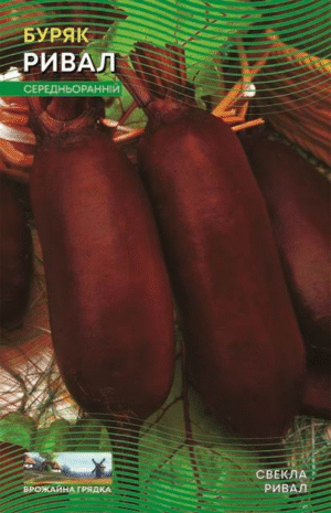 Насіння Буряк Ривал (5 г.)