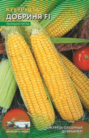 Насіння Кукурудза Добриня F1 (10 г.)