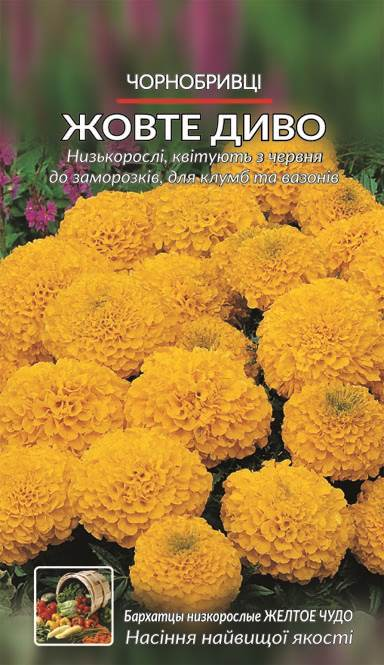 Насіння Чорнобривці Жовте диво (низькорослі) (1 г.)