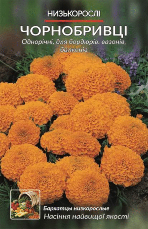 Насіння Чорнобривці Низькорослі оранжеві (2 г.)