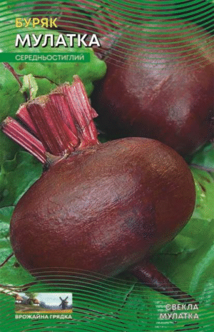Насіння Буряк Мулатка (10 г.)