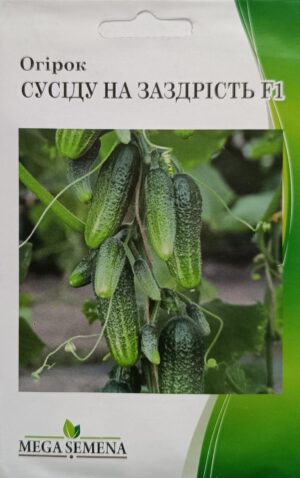 Насіння Огірок Сусіду на заздрість F1 (35-40 шт. семян)